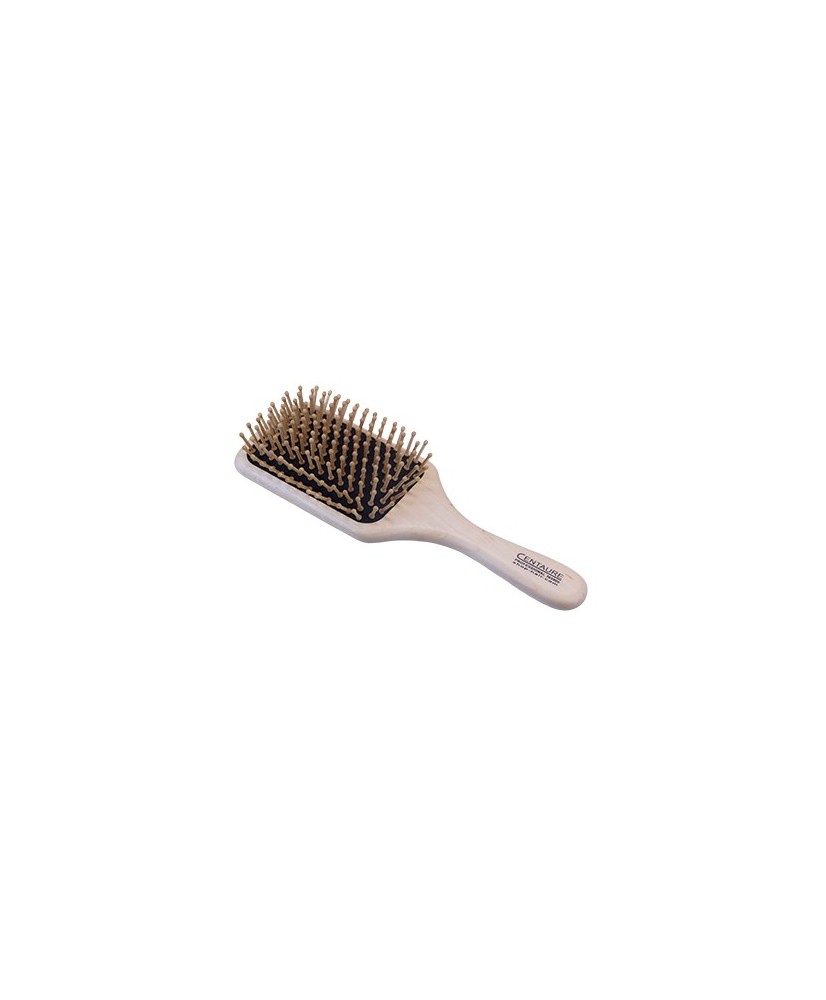 Brosse Cent.Careswood Pneu 9Rg 34109