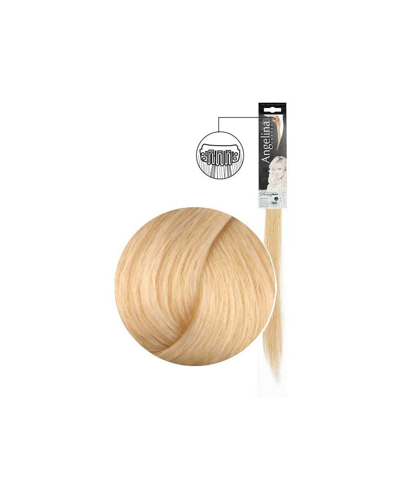 Mèche Ag-Ct Remyhair Clip 22 10.03  3Cm 45Cm X1