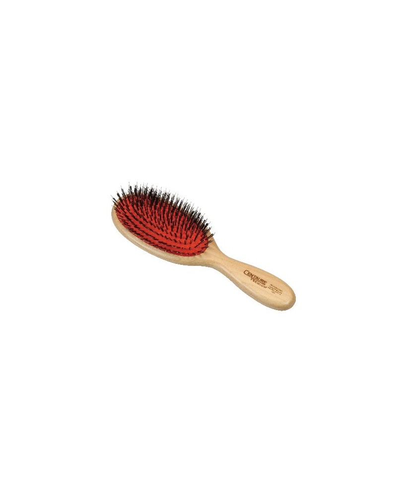 Brosse Cent.Premium Pneu Mixte Bois 12Rg P3 M