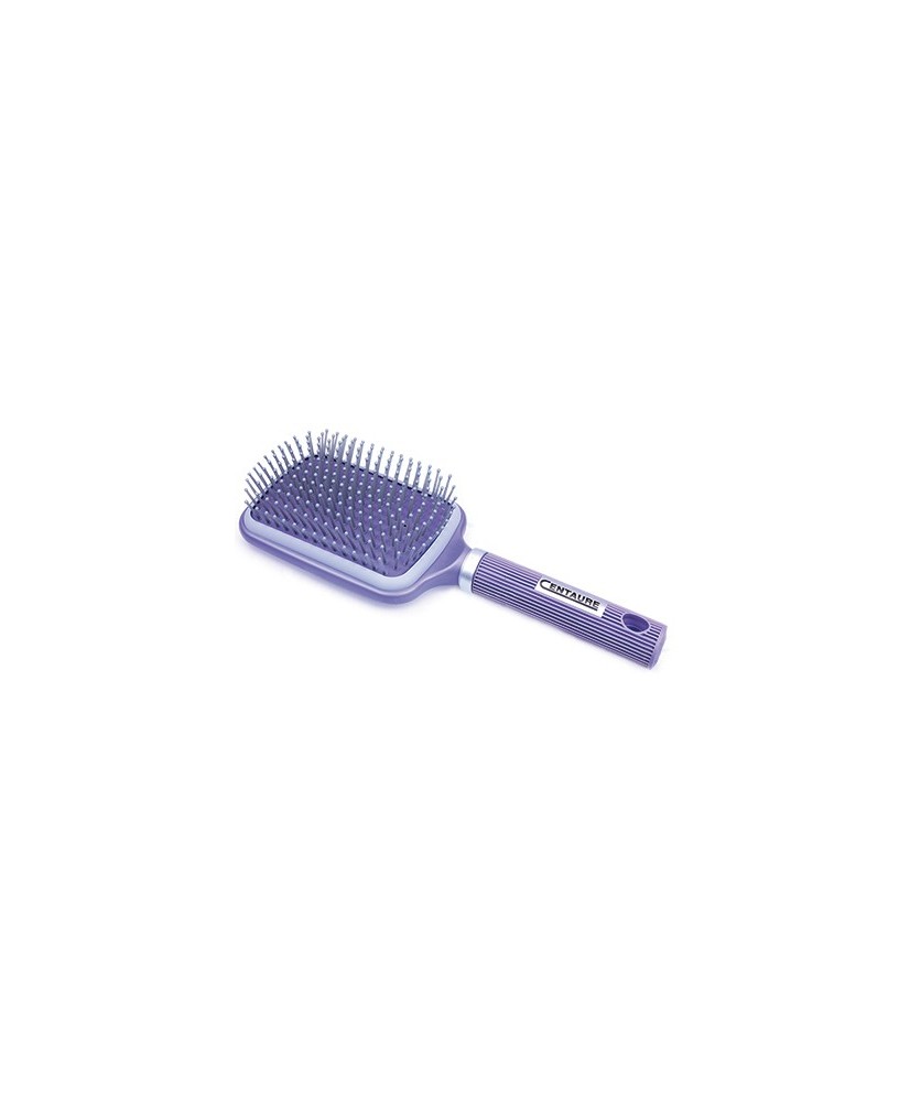 Brosse Centaure Gumion 13 rangs